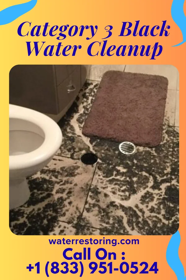 Category 3 Black Water Cleanup in Cassoday, KS