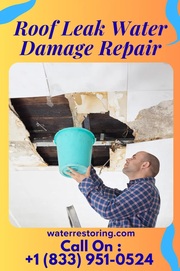 Roof Leak Water Damage Repair in Cassoday, KS
